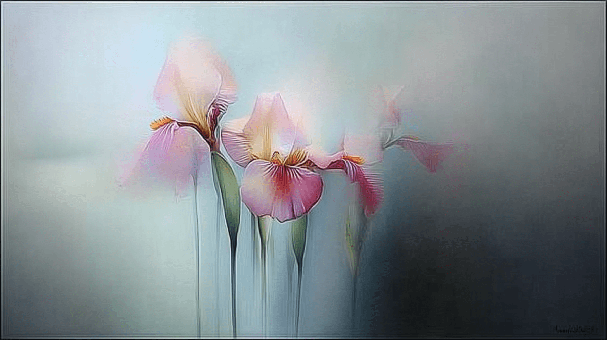 Iris Whisper