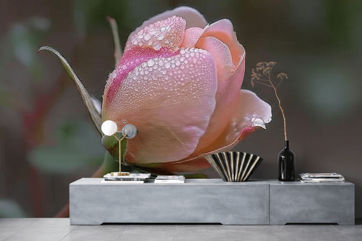 Dewy Rose Veil