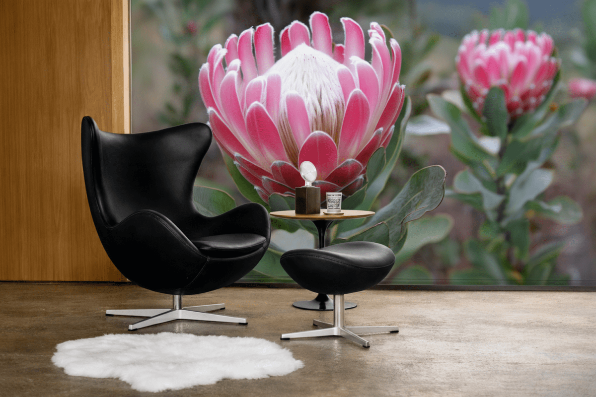 Protea Bloomscape