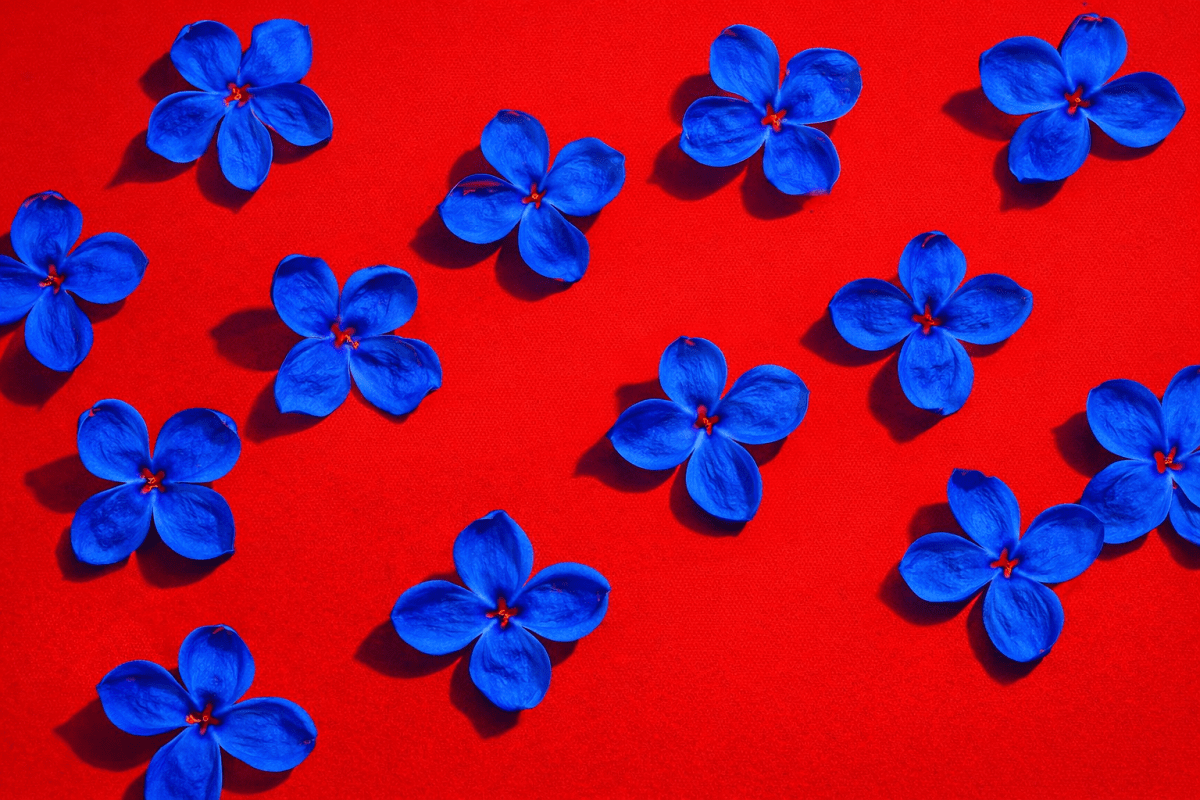 Blue Bloom Mural