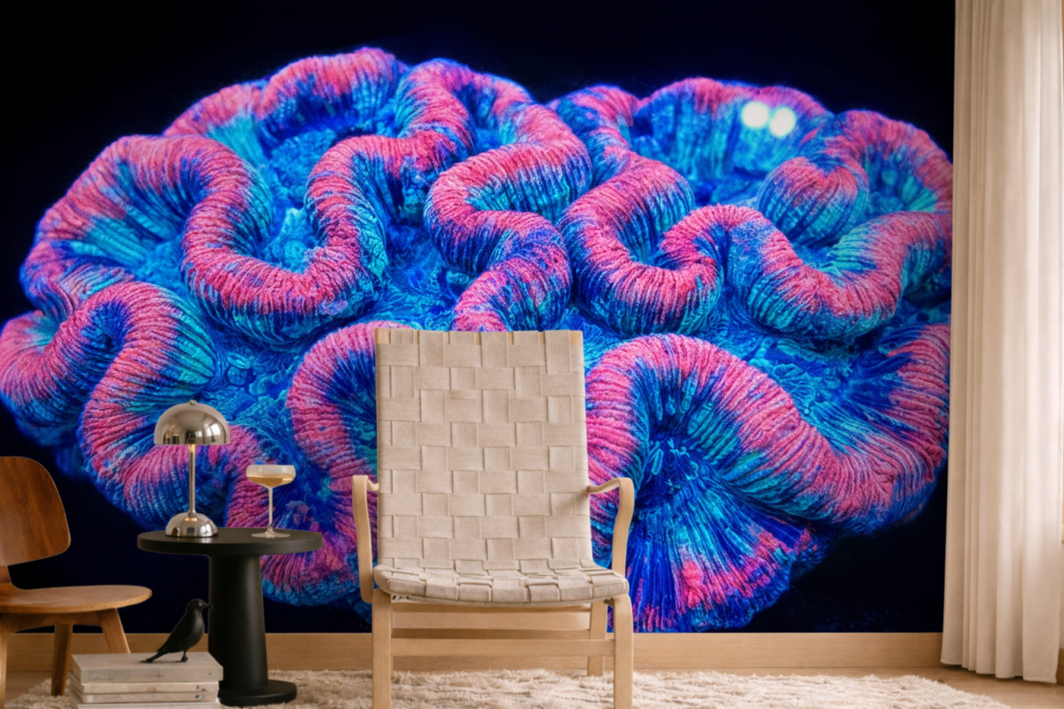 Twilight Coral Texture