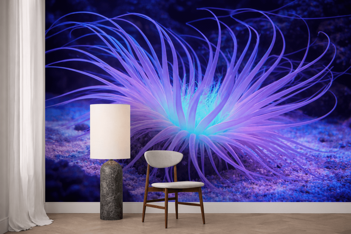 Glimmering Tentacles