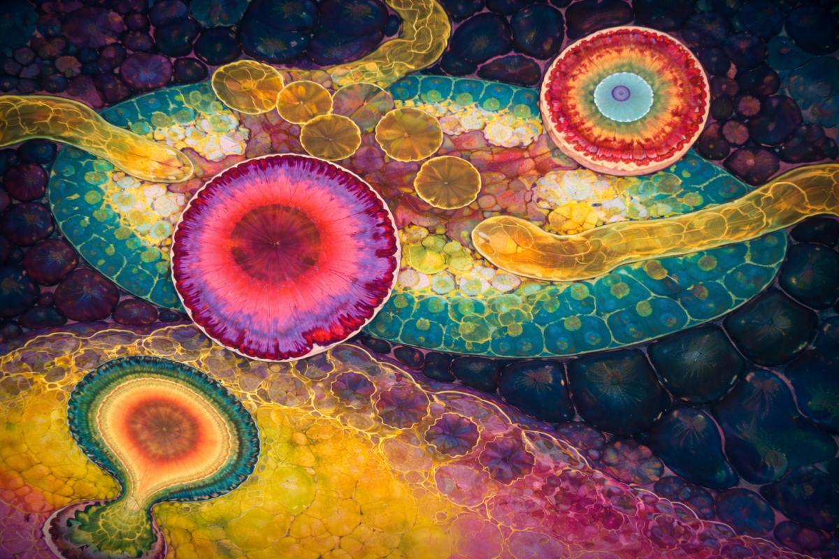 Floral Resonance