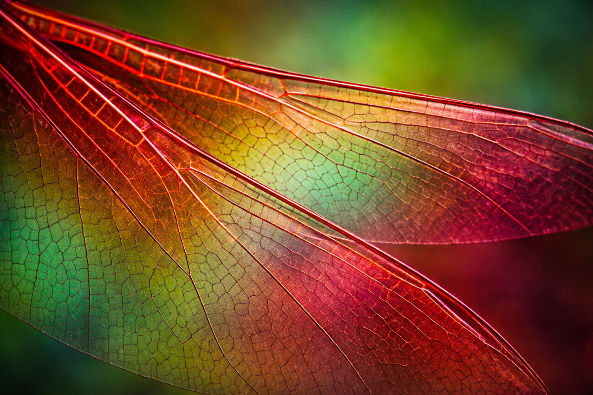 Radiant Wisp Palette