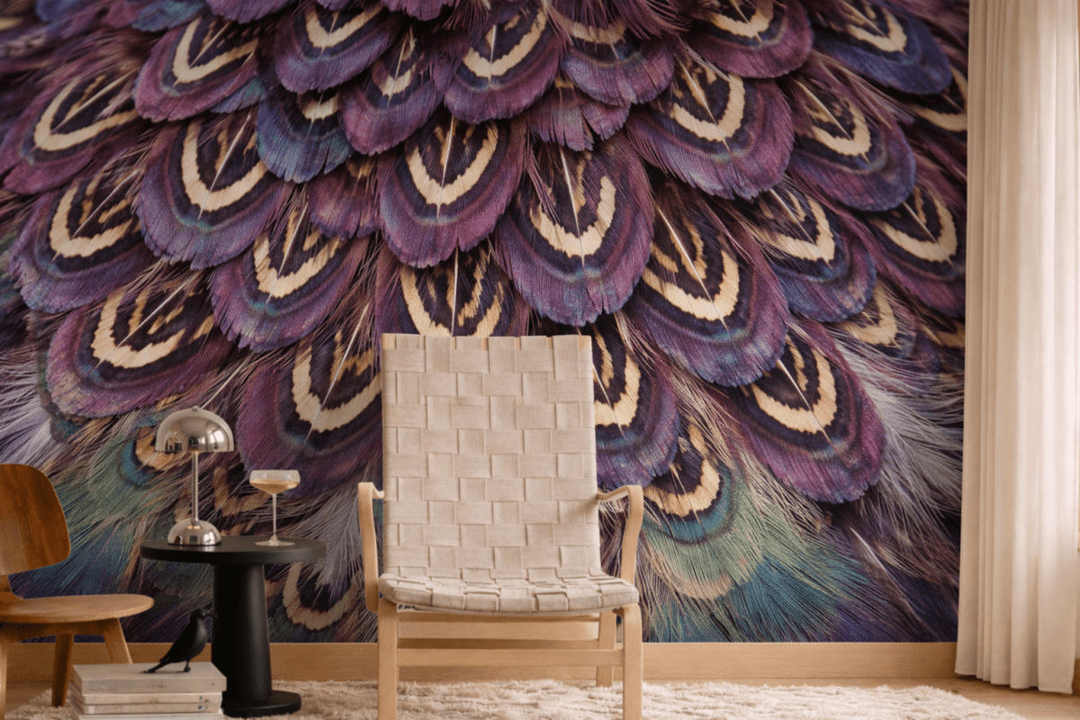 Ornamental Plumage
