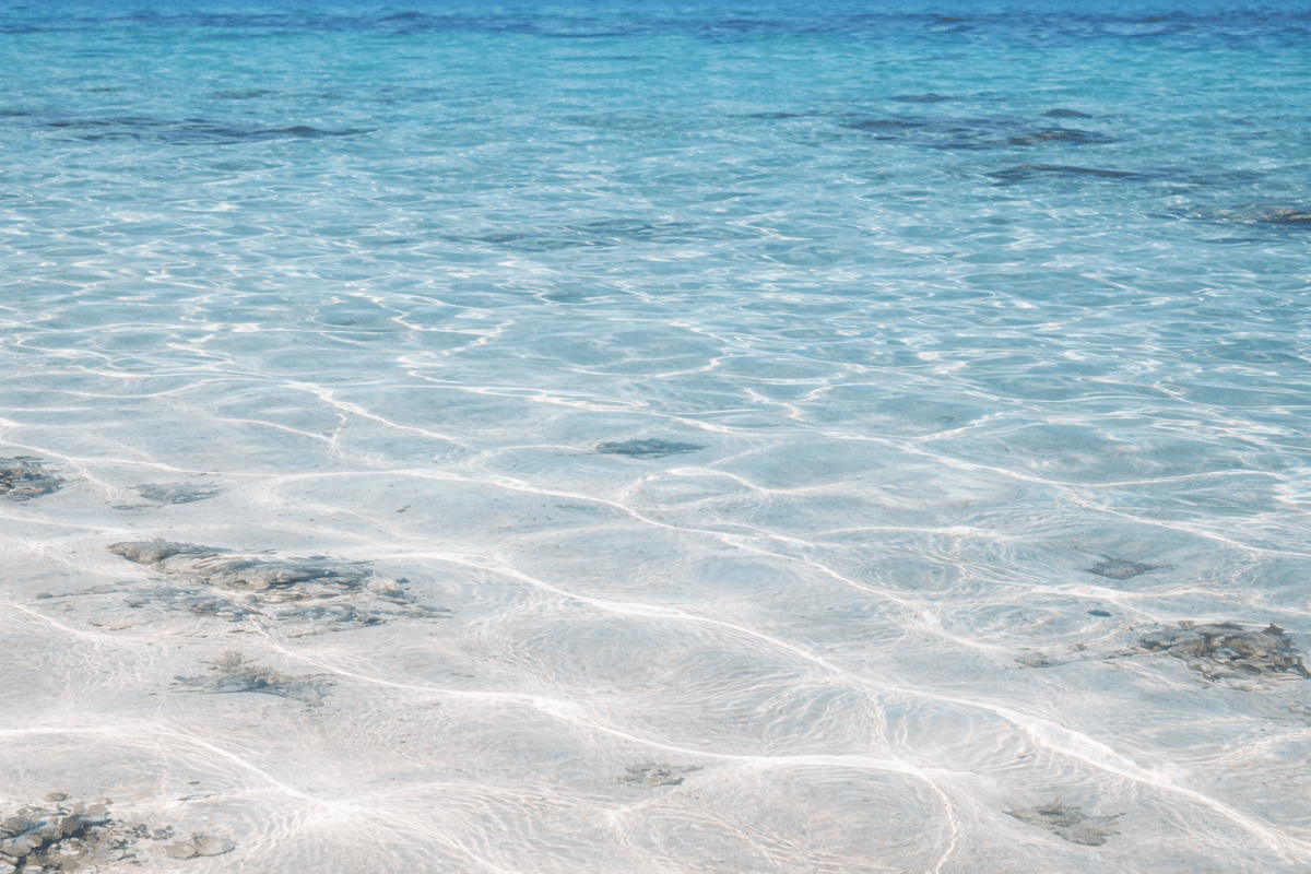 Lucent Shallows