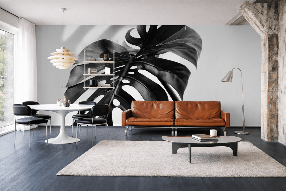 Monstera Shadow Ii
