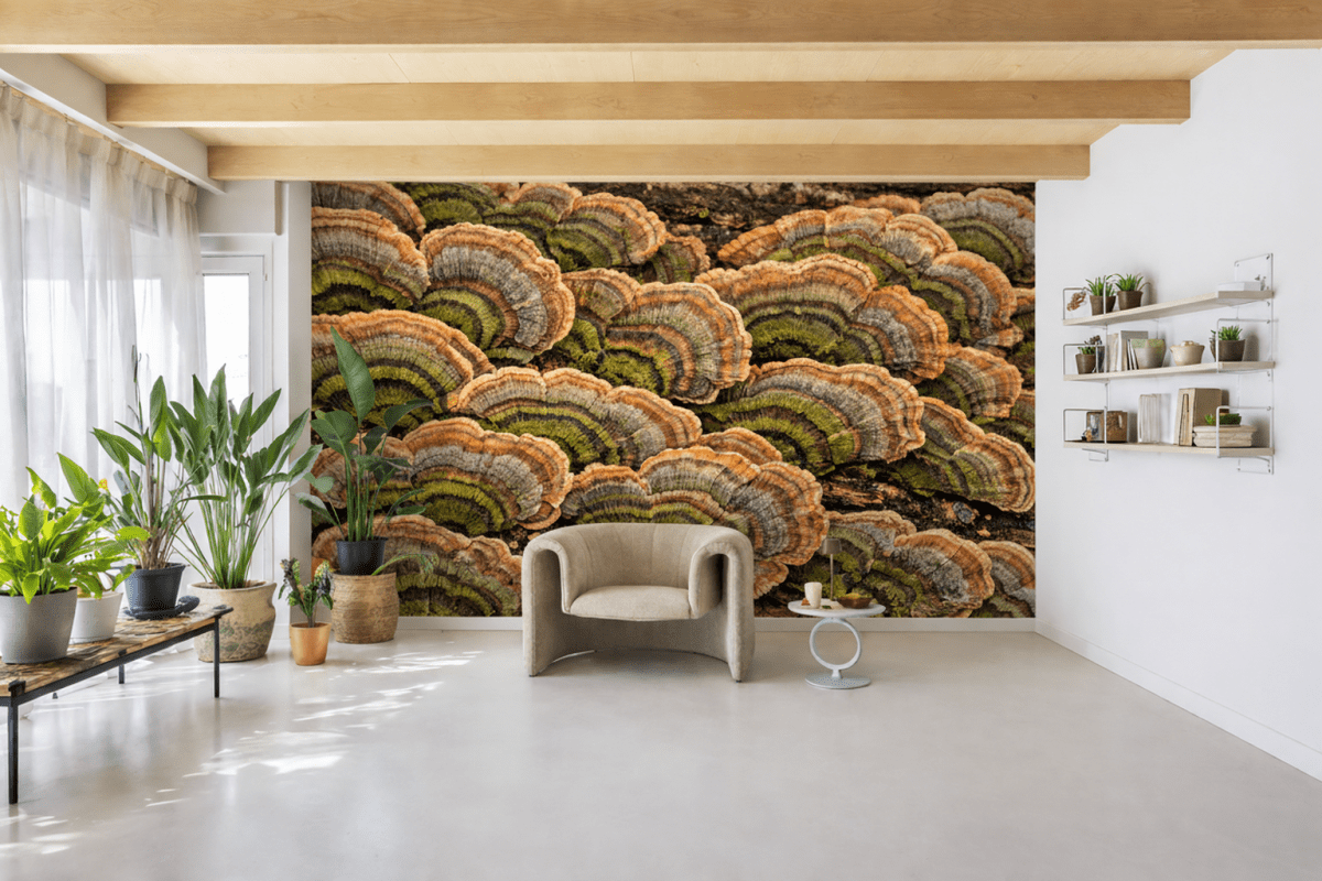 Mushroom Palette