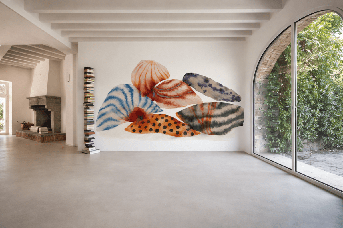 Shell Collection
