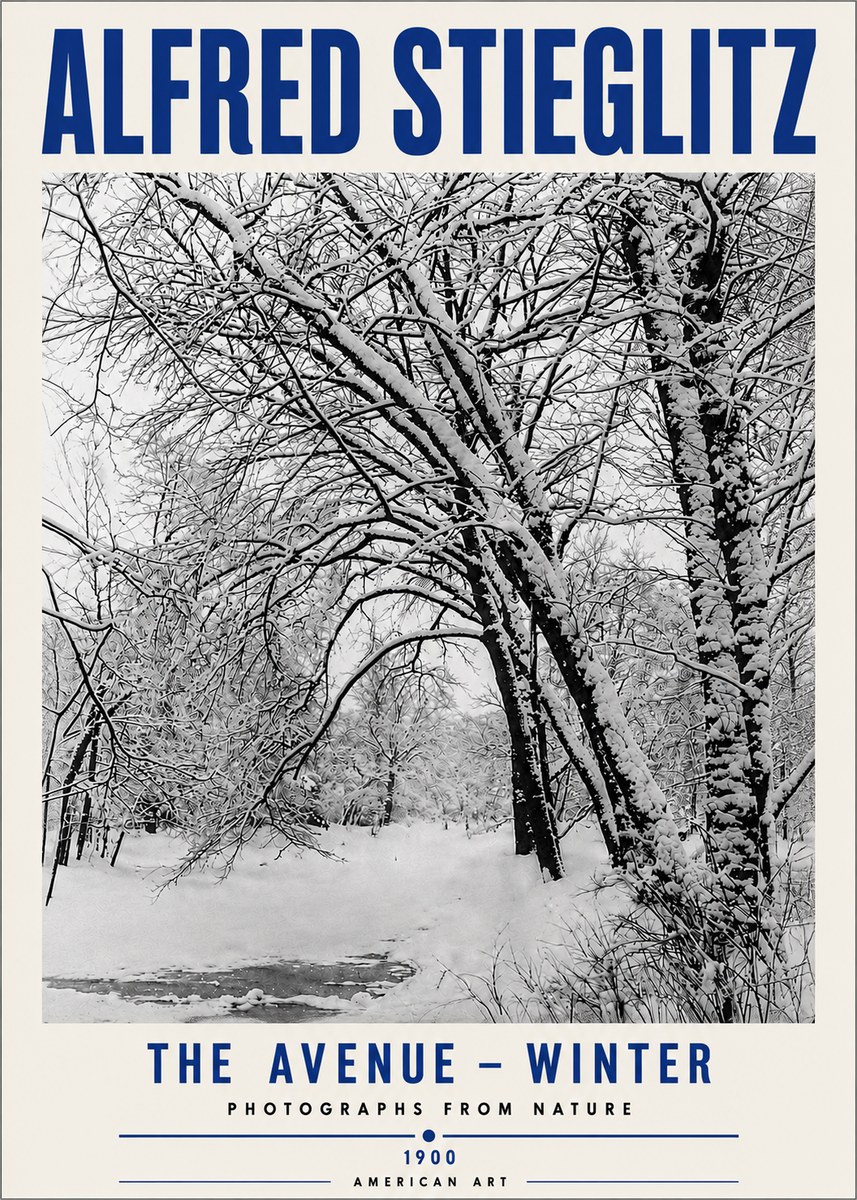 Alfred Stieglitz The Avenue – Winter No5 - Plakat