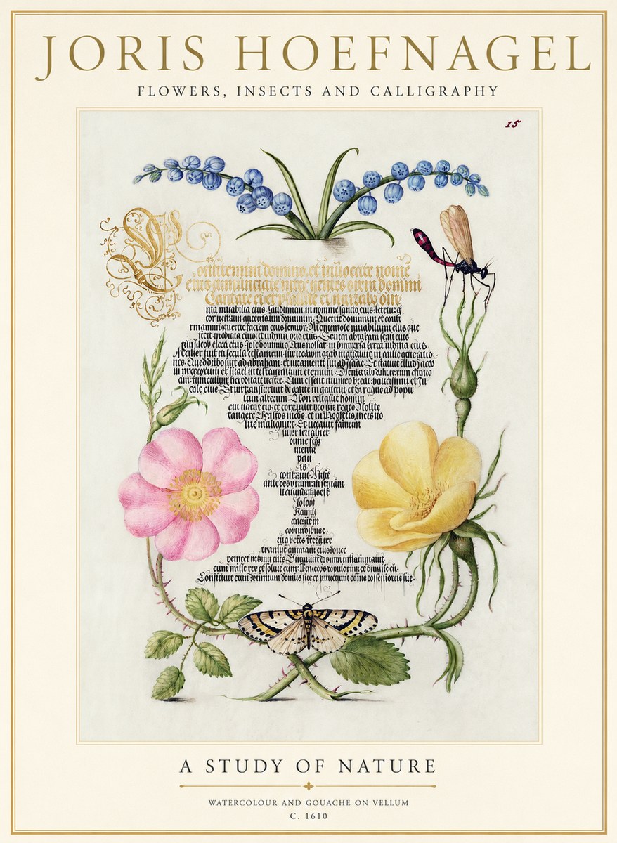 Joris Hoefnagel A Study of Nature I No1 - Plakat
