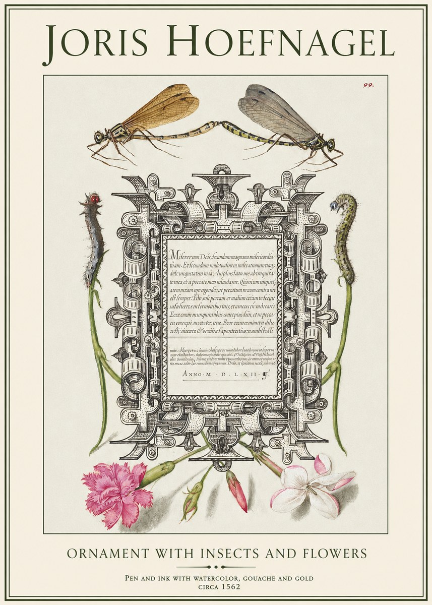 Joris Hoefnagel Ornamental Frame with Damselflies, Caterpillars and Flowers No2 - Plakat