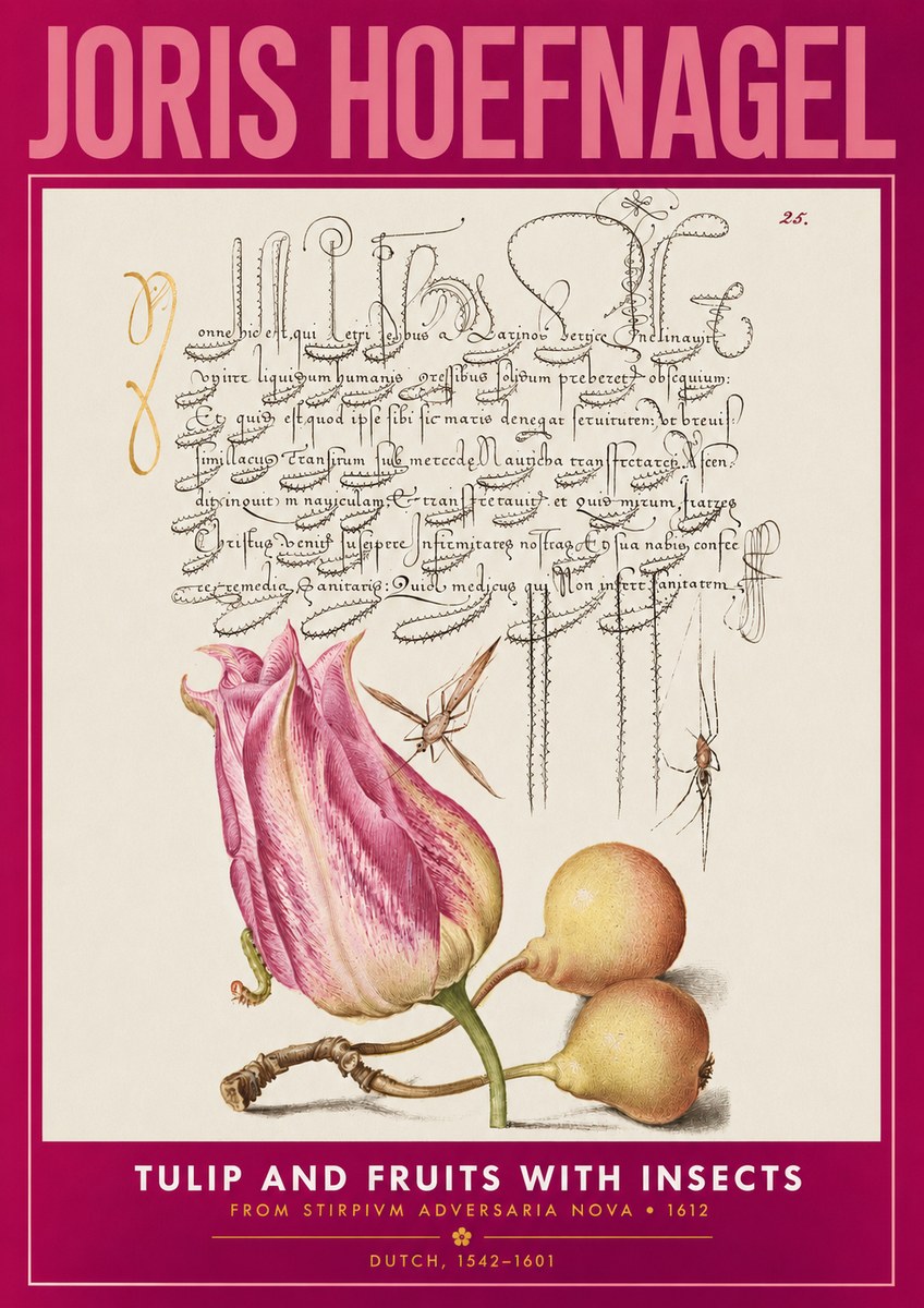 Joris Hoefnagel Tulip and Fruits with Insects No2 - Plakat