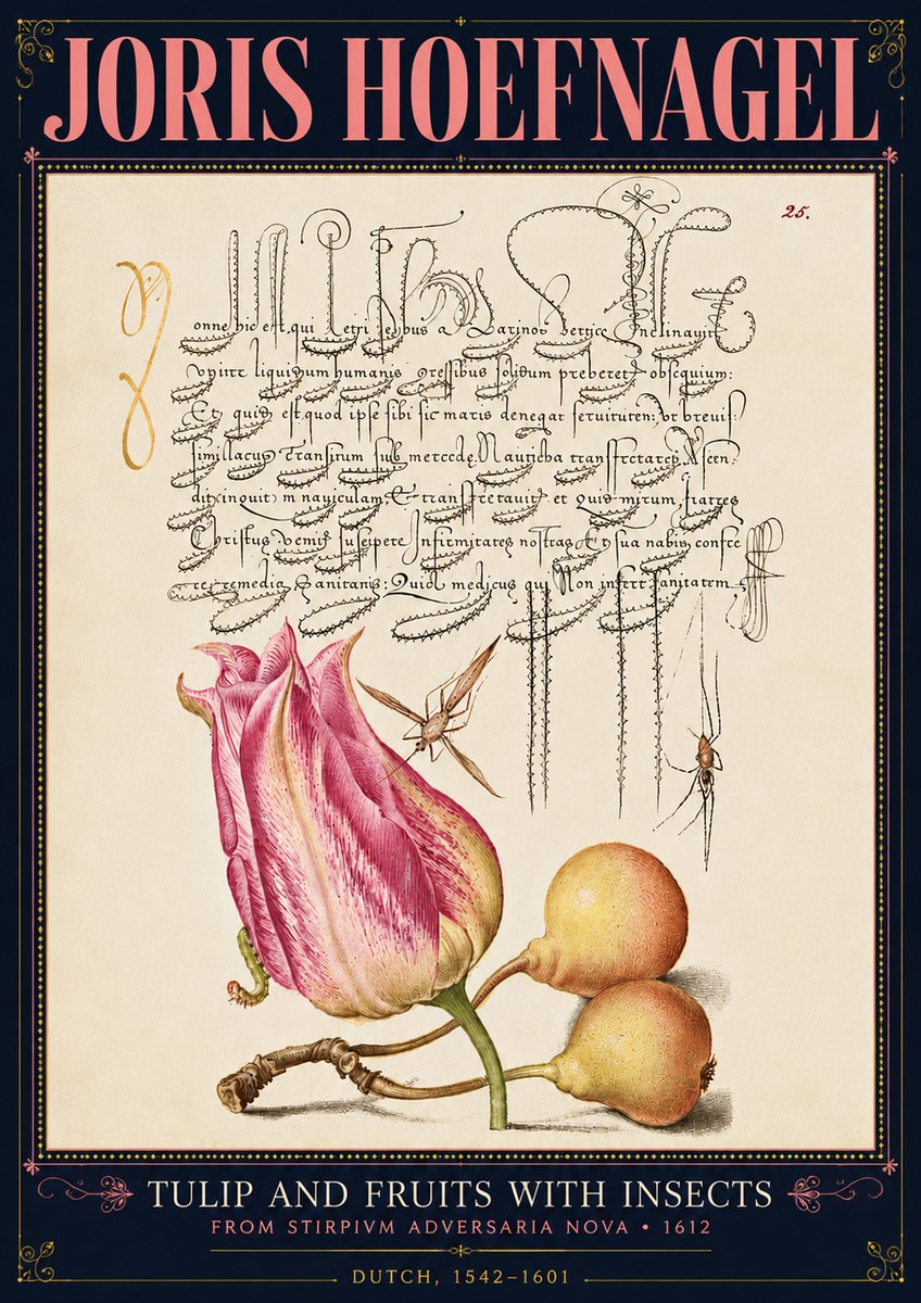 Joris Hoefnagel Tulip and Fruits with Insects No4 - Plakat
