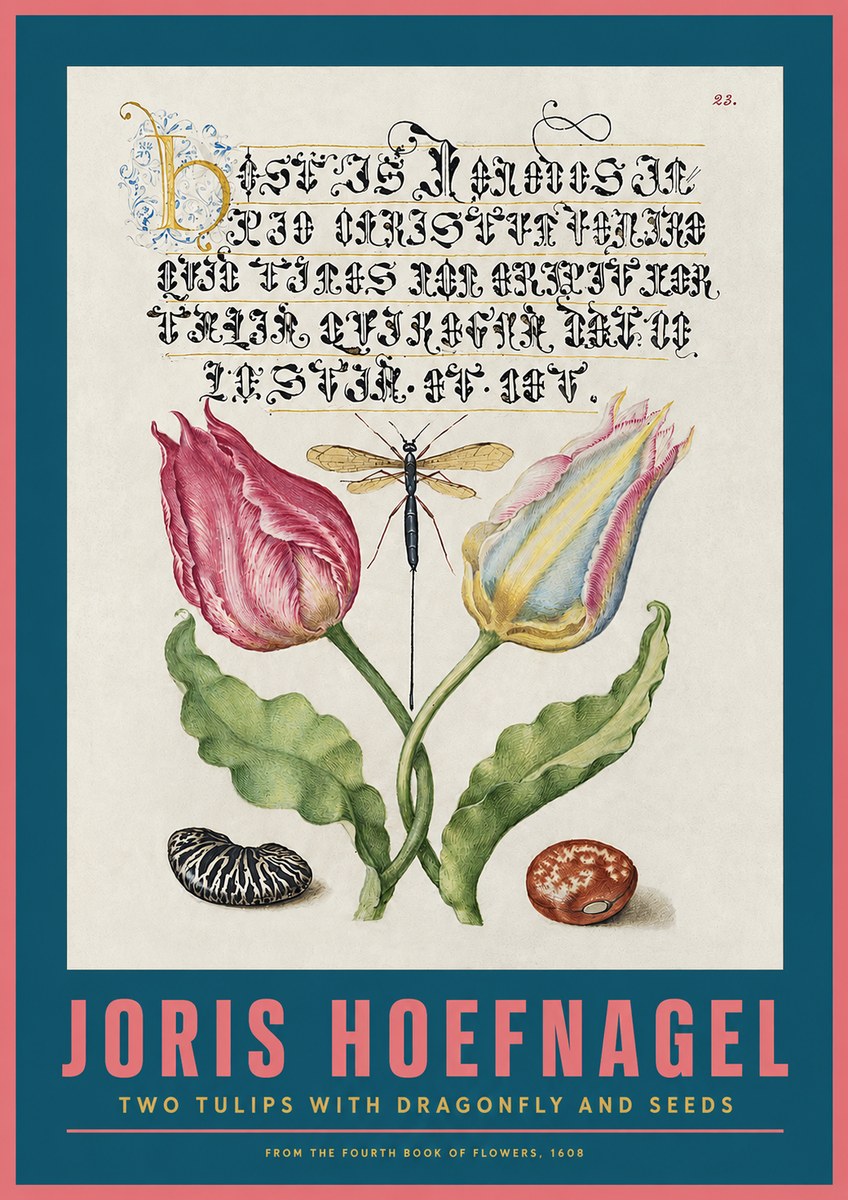 Joris Hoefnagel Two Tulips with Dragonfly and Seeds No2 - Plakat
