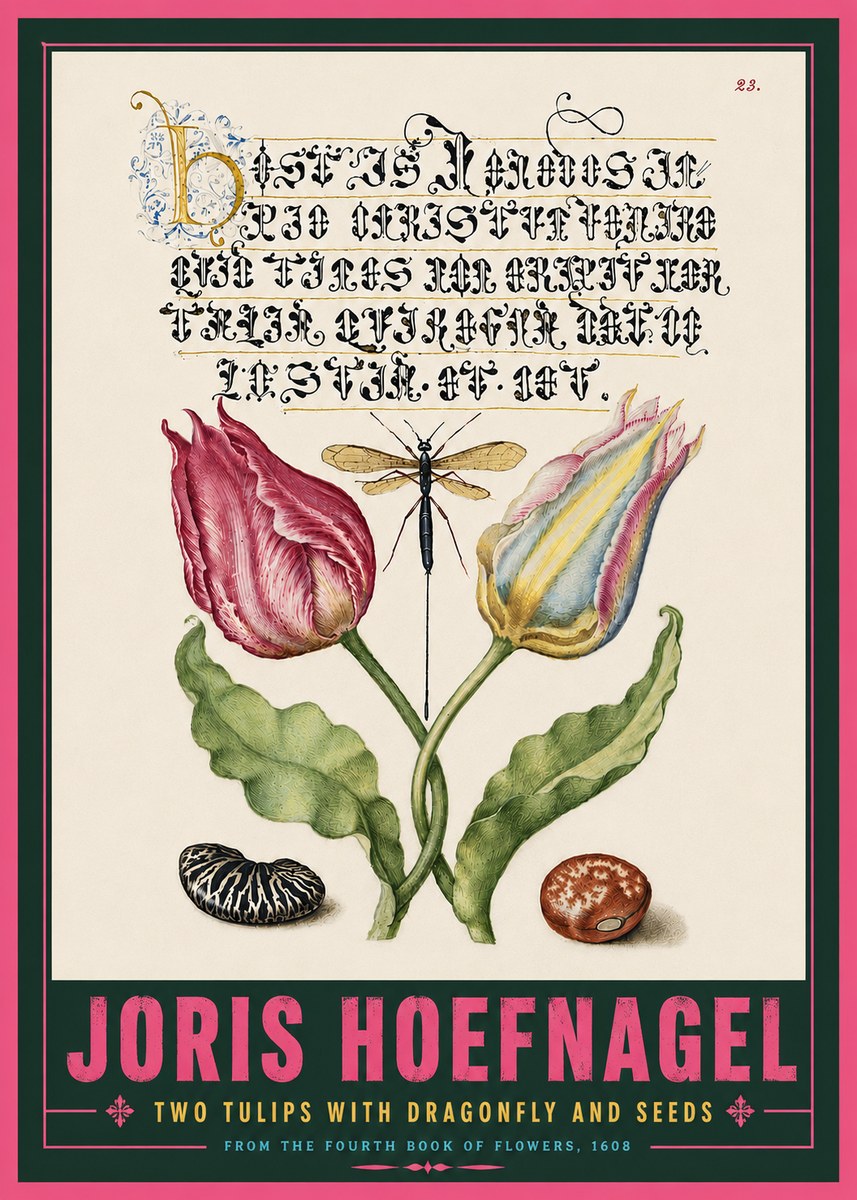 Joris Hoefnagel Two Tulips with Dragonfly and Seeds No5 - Plakat