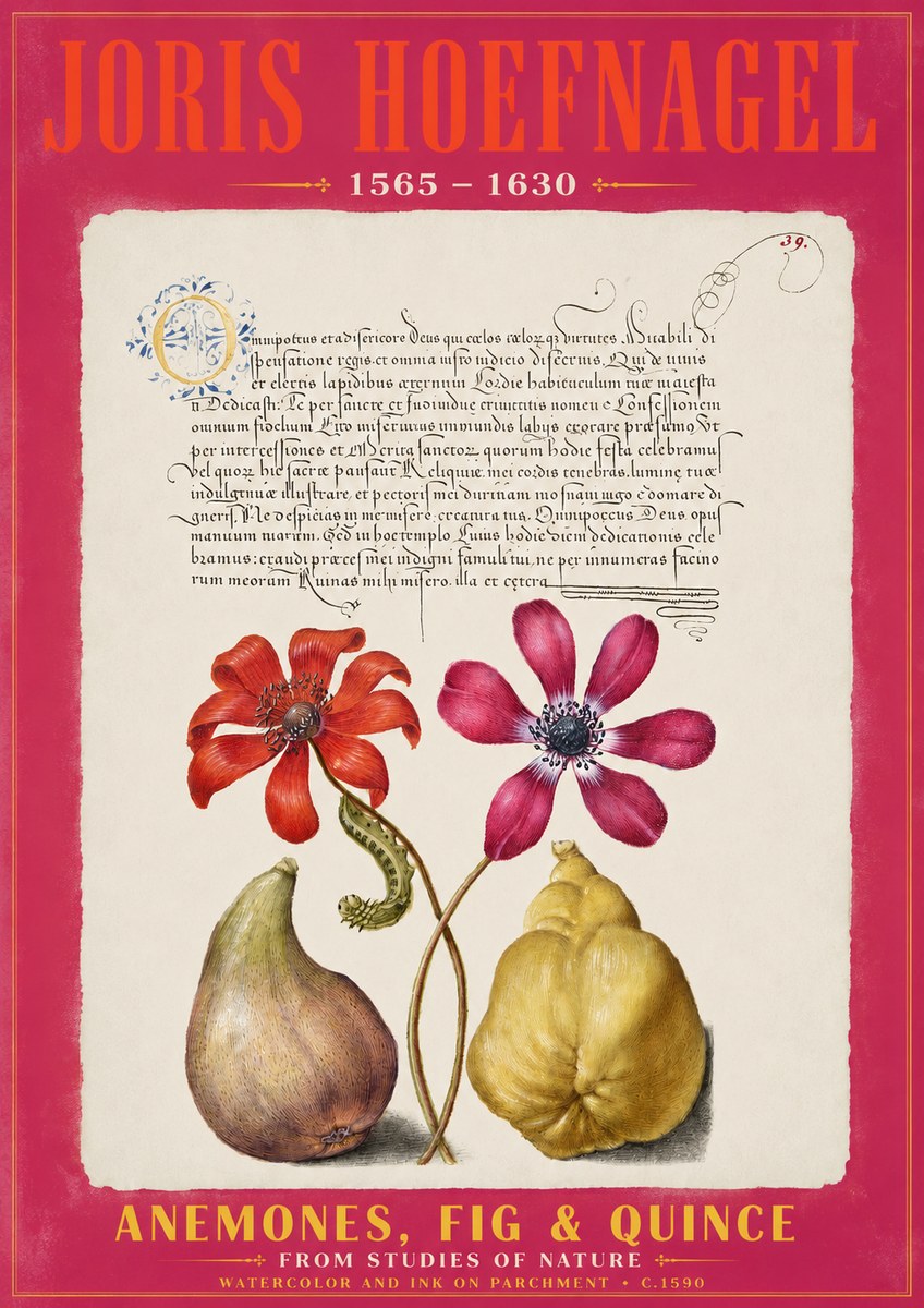 Joris Hoefnagel Flowers and Fruits No3 - Plakat