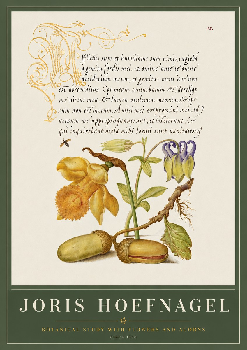 Joris Hoefnagel Illuminated Manuscript with Flowers and Acorns No6 - Plakat