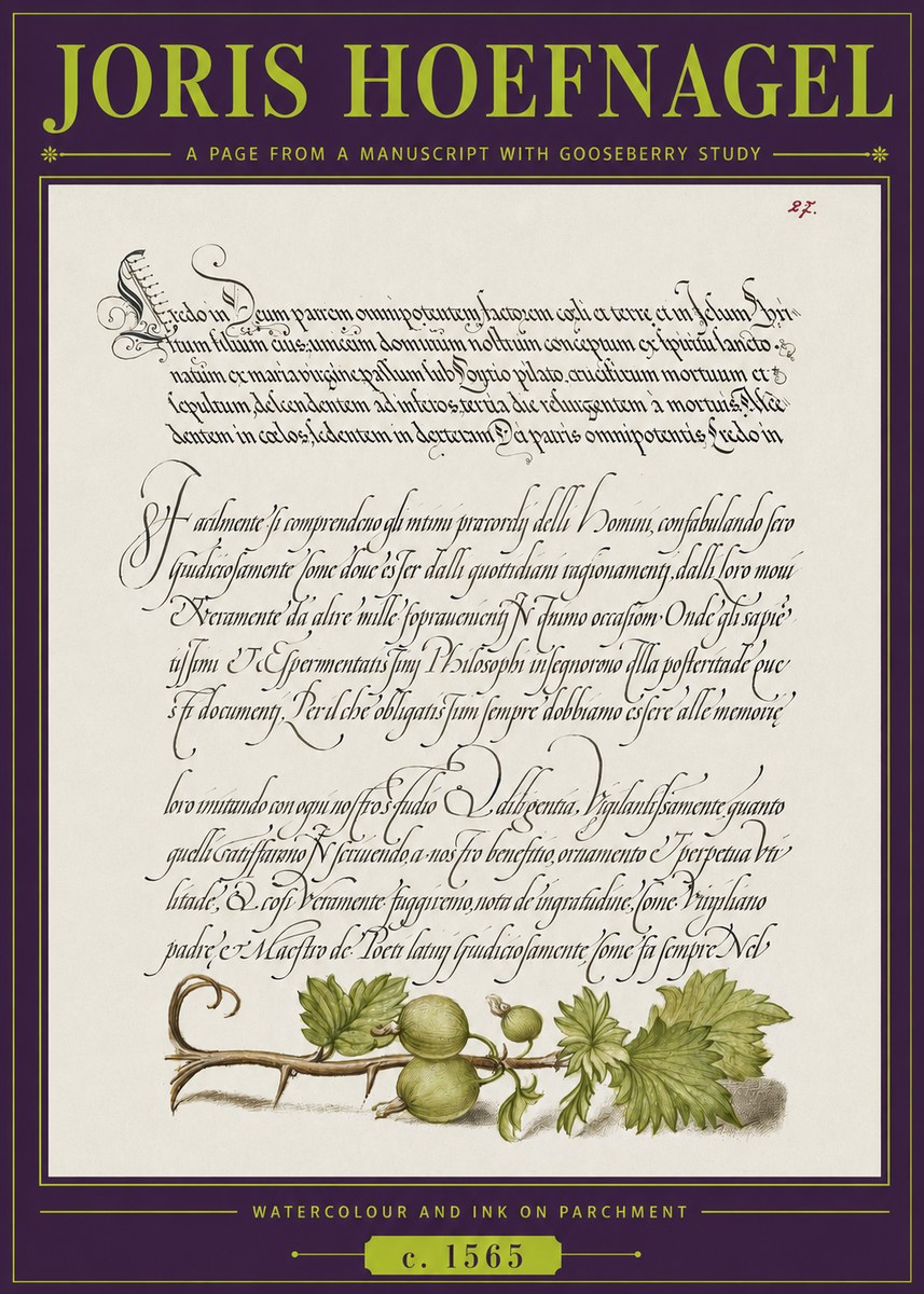 Joris Hoefnagel A Page from a Manuscript with Gooseberry Study No3 - Plakat
