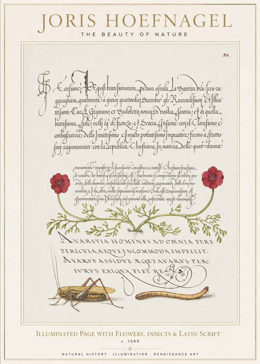 Joris Hoefnagel Illuminated Page with Flowers, Insects & Latin Script No1 - Plakat
