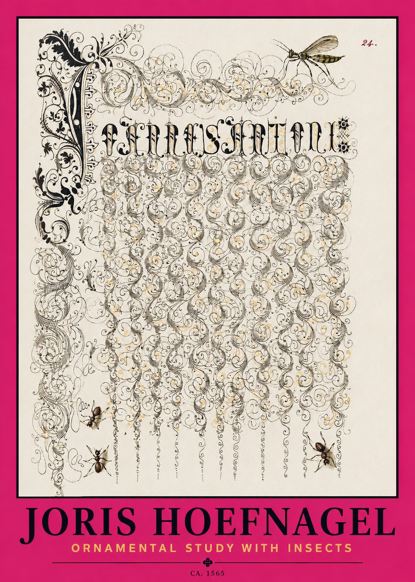 Joris Hoefnagel Ornamental Study with Insects No2 - Plakat
