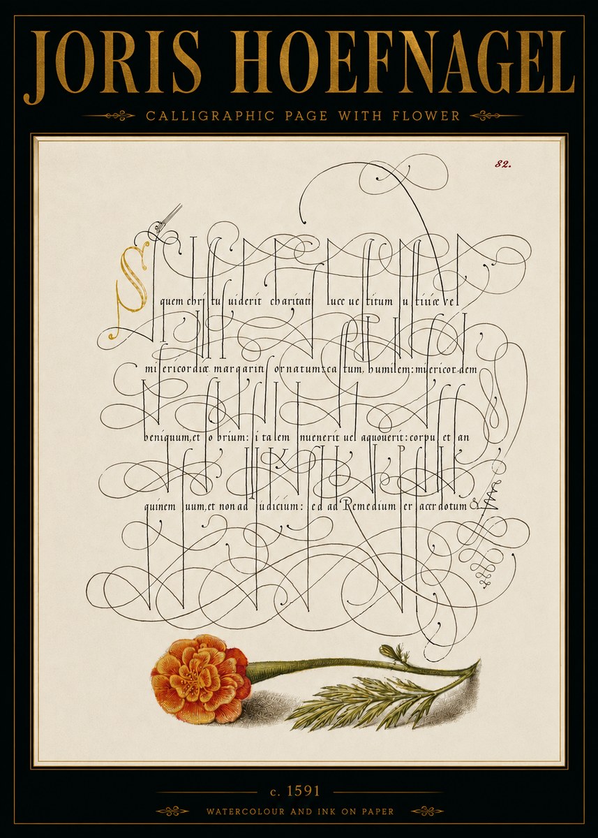 Joris Hoefnagel Calligraphic Study with Marigold No6 - Plakat
