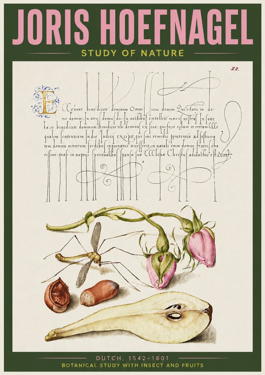 Joris Hoefnagel Studies of Plants, Insects and Fruits No4 - Plakat