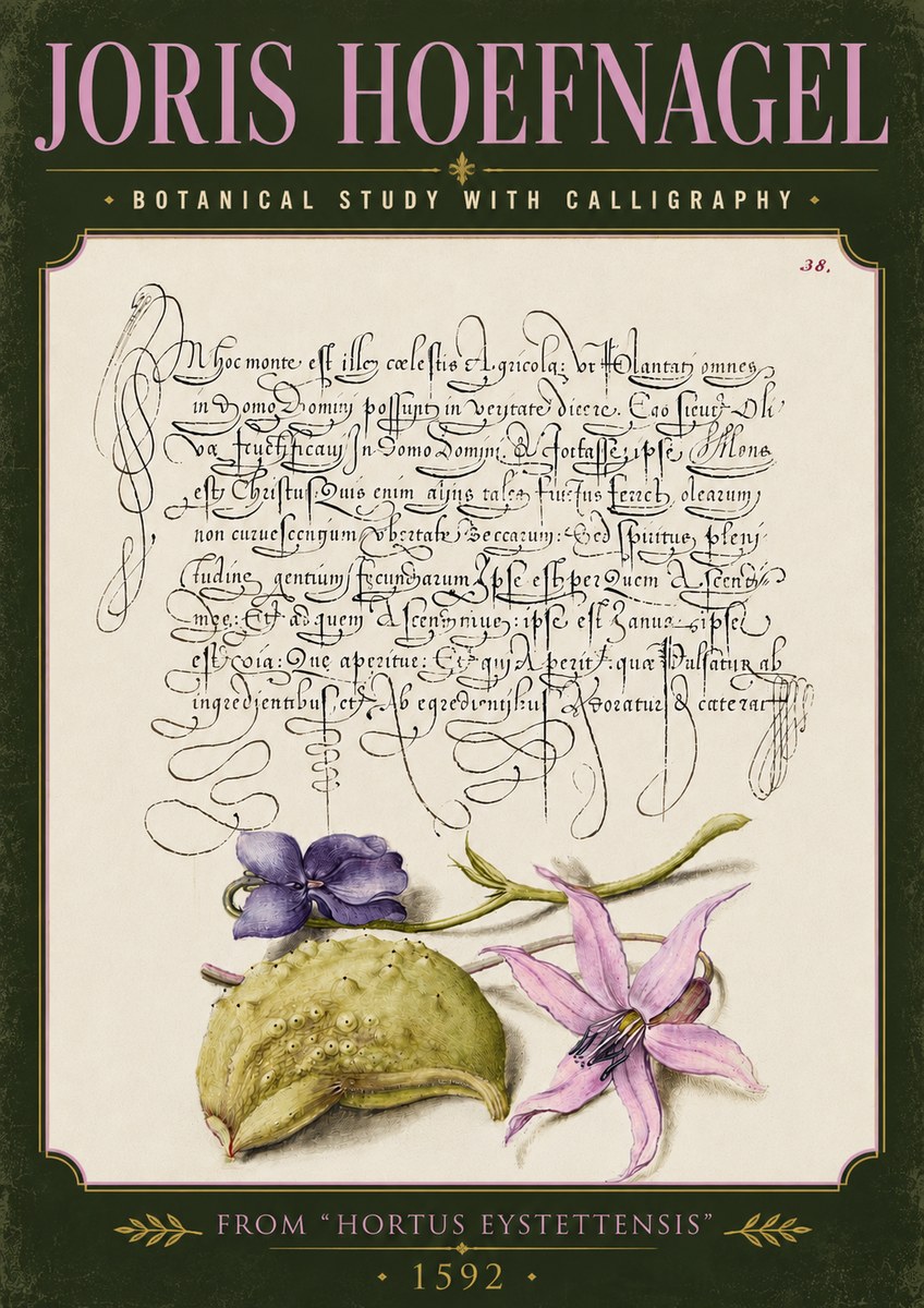 Joris Hoefnagel Botanical Study with Calligraphy I No5 - Plakat