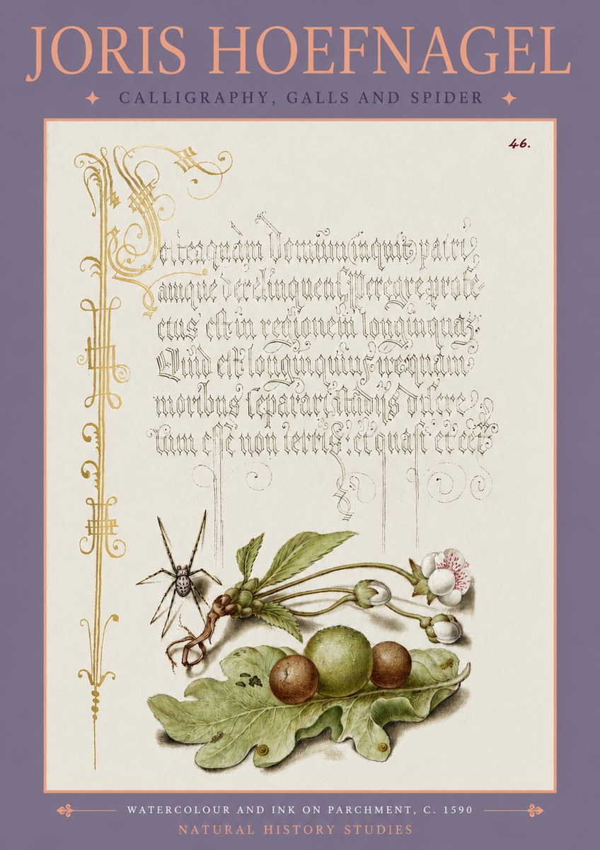 Joris Hoefnagel Plant with Galls and Insect No4 - Plakat