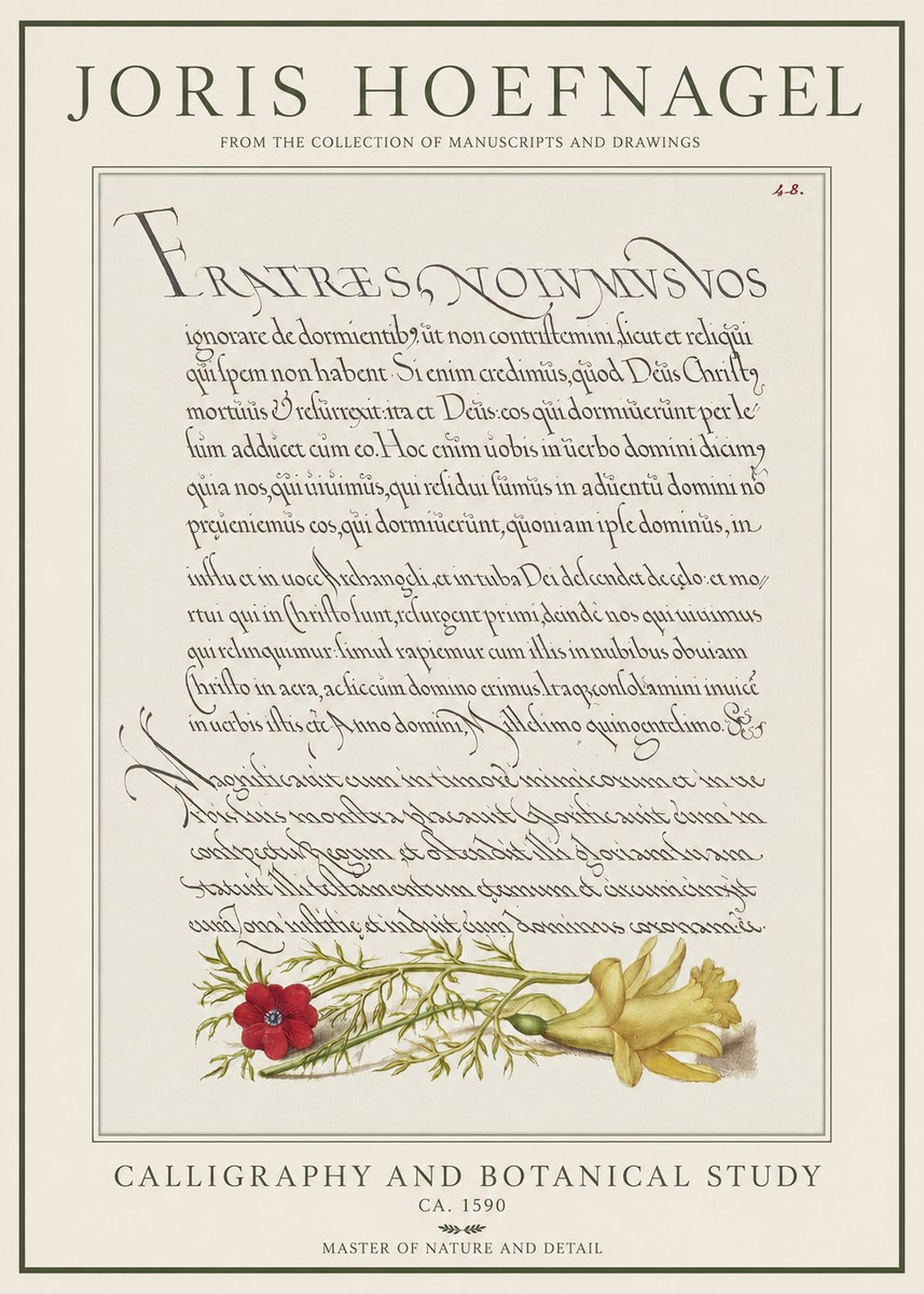 Joris Hoefnagel Calligraphy and Botanical Study I No1 - Plakat
