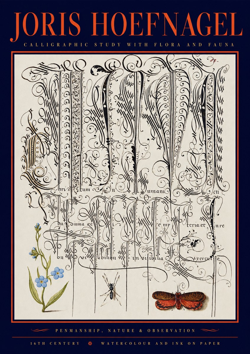 Joris Hoefnagel Calligraphic Study with Flora and Fauna No2 - Plakat