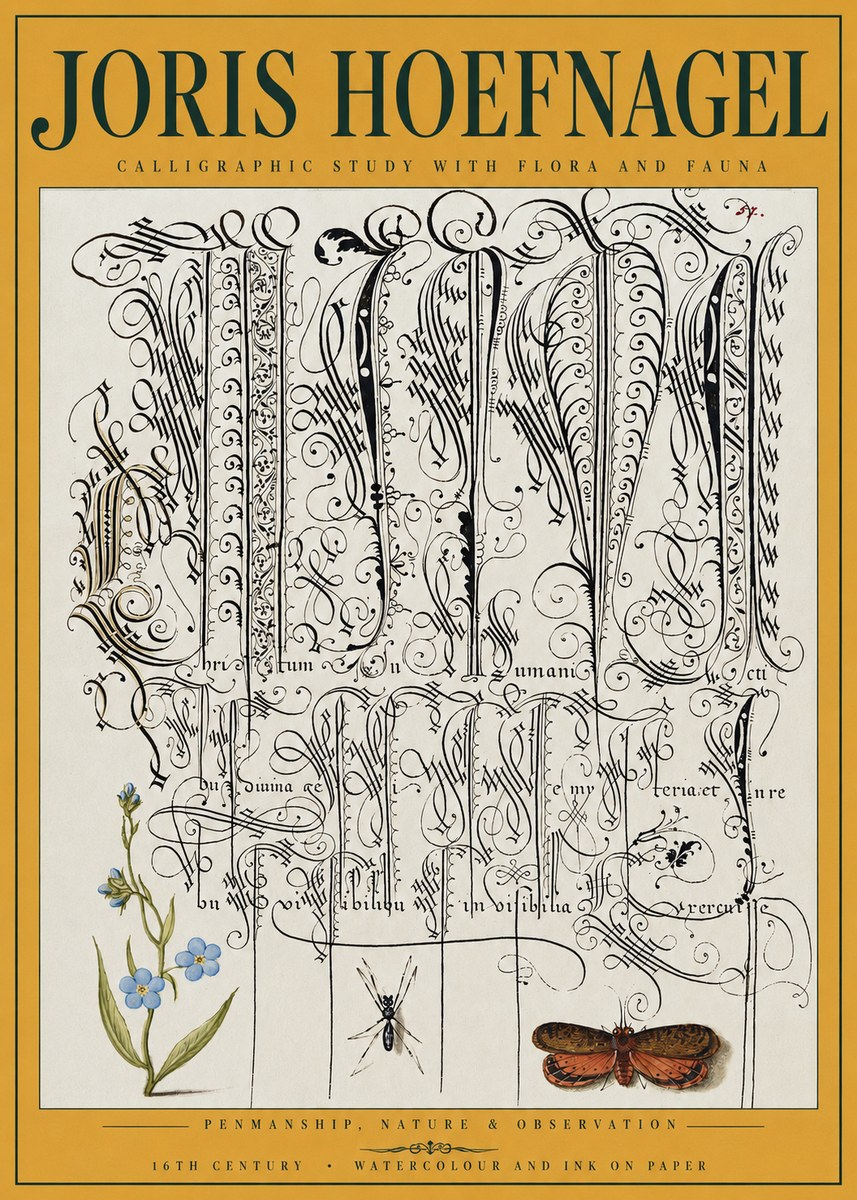Joris Hoefnagel Calligraphic Study with Flora and Fauna No3 - Plakat