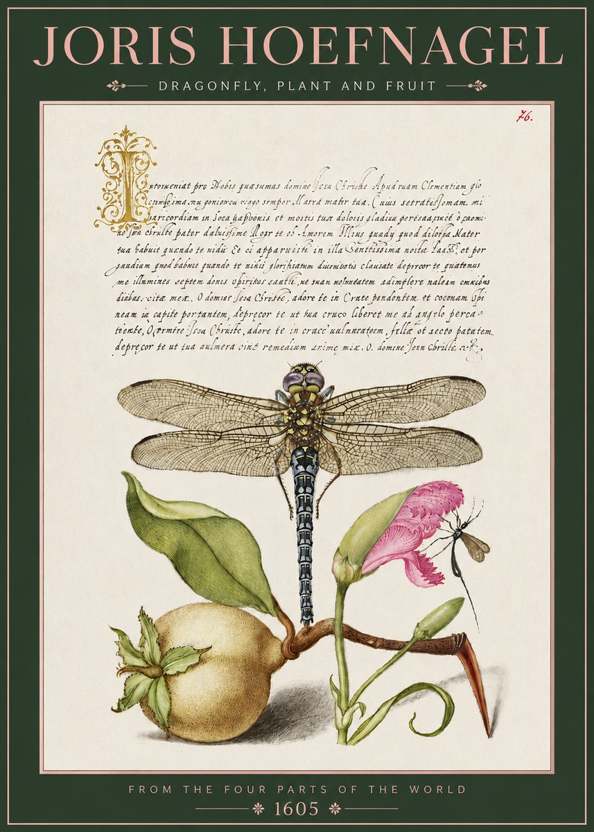 Joris Hoefnagel Dragonfly, Plant and Fruit No3 - Plakat