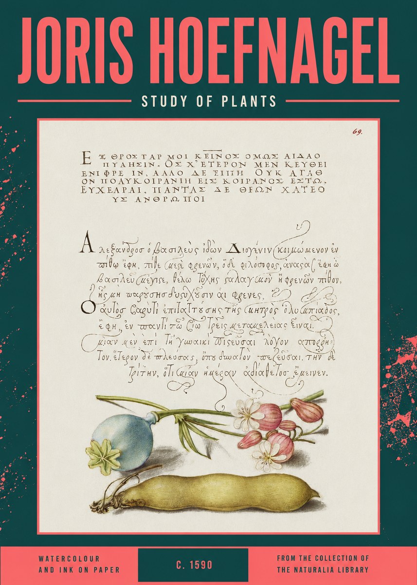 Joris Hoefnagel Study of Plants I No2 - Plakat