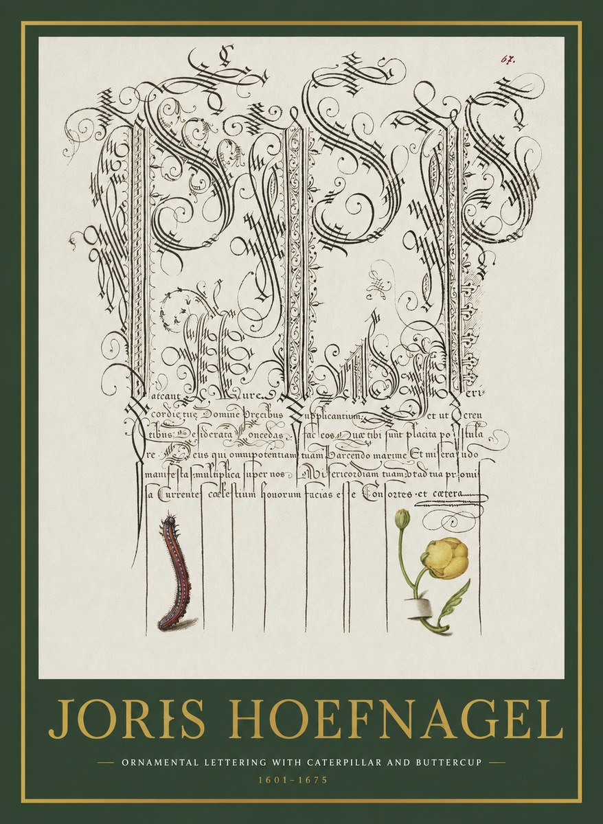 Joris Hoefnagel Ornamental Calligraphy with Caterpillar and Buttercup No2 - Plakat