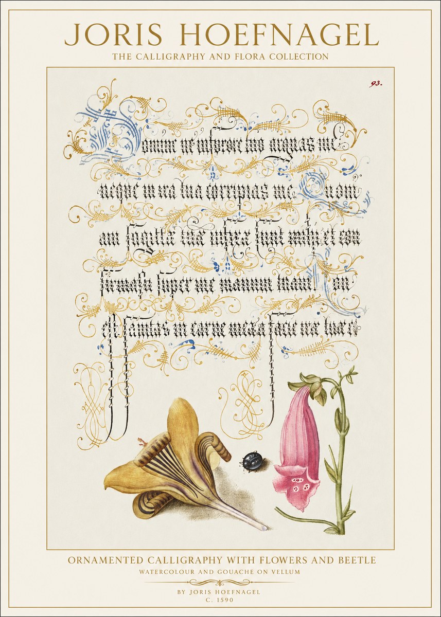 Joris Hoefnagel Ornamented Calligraphy with Flowers and Beetle No1 - Plakat