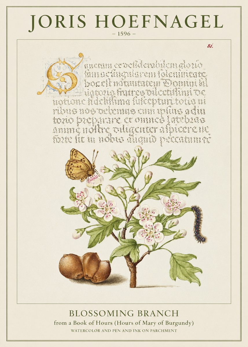 Joris Hoefnagel Blossoming Branch No1 - Plakat