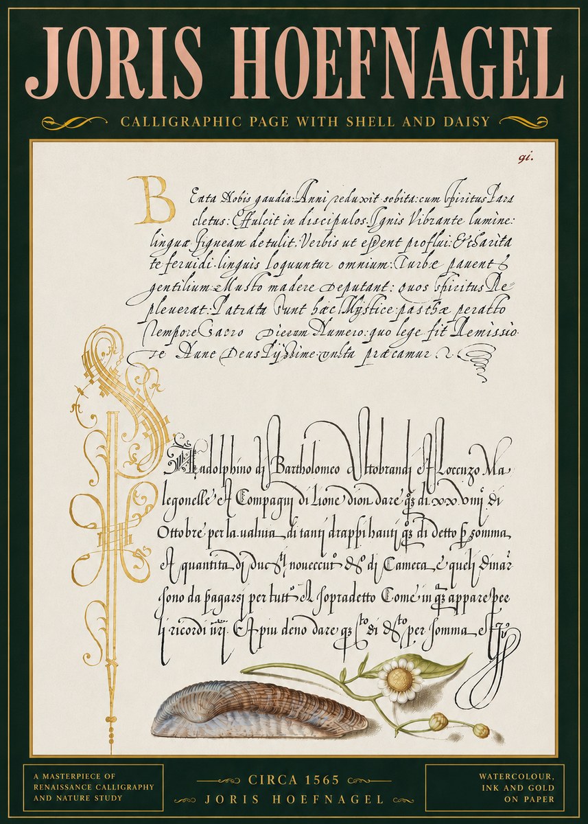 Joris Hoefnagel Calligraphic Page with Shell and Daisy No4 - Plakat