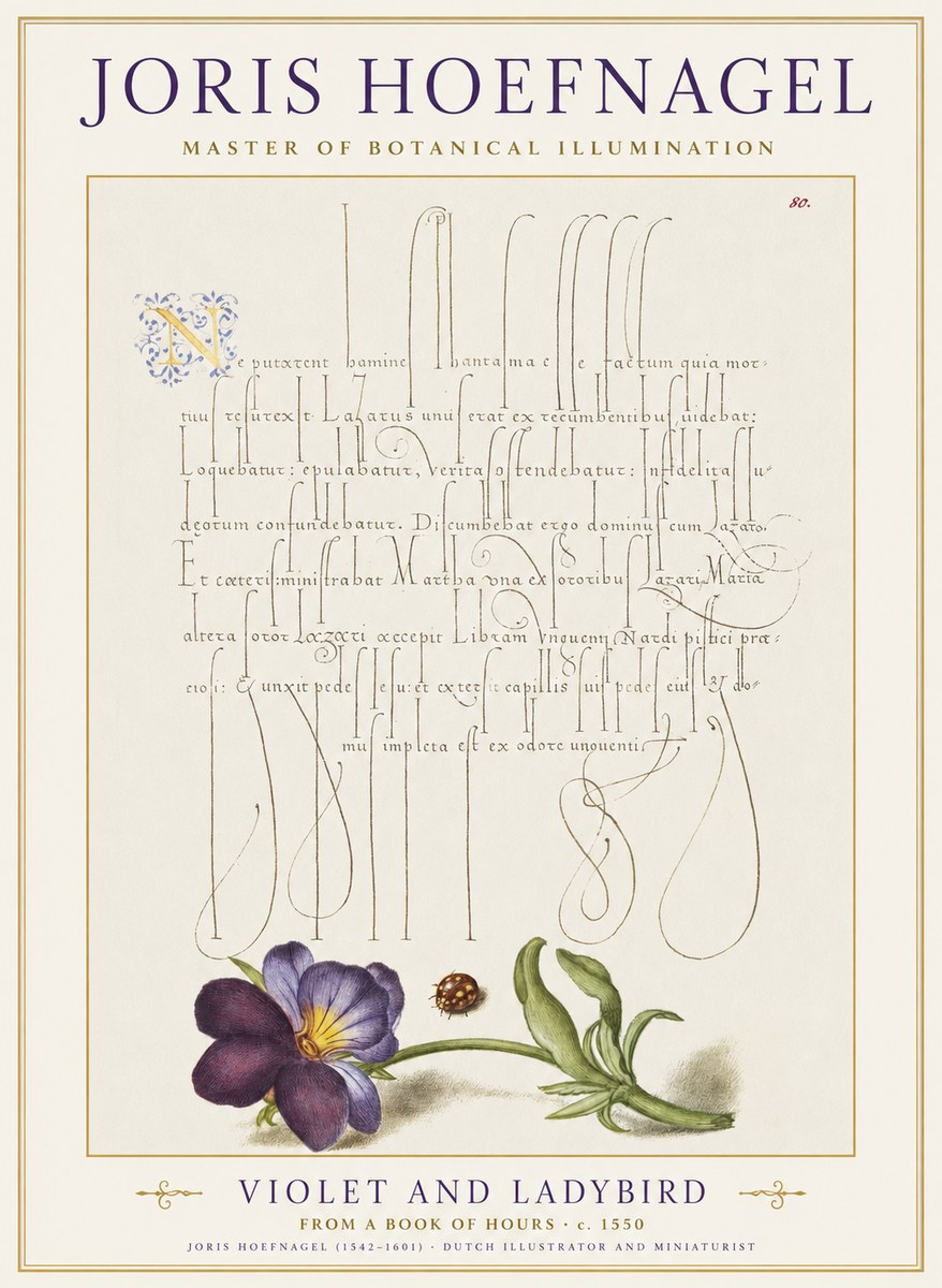 Joris Hoefnagel Violet and Ladybird No1 - Plakat