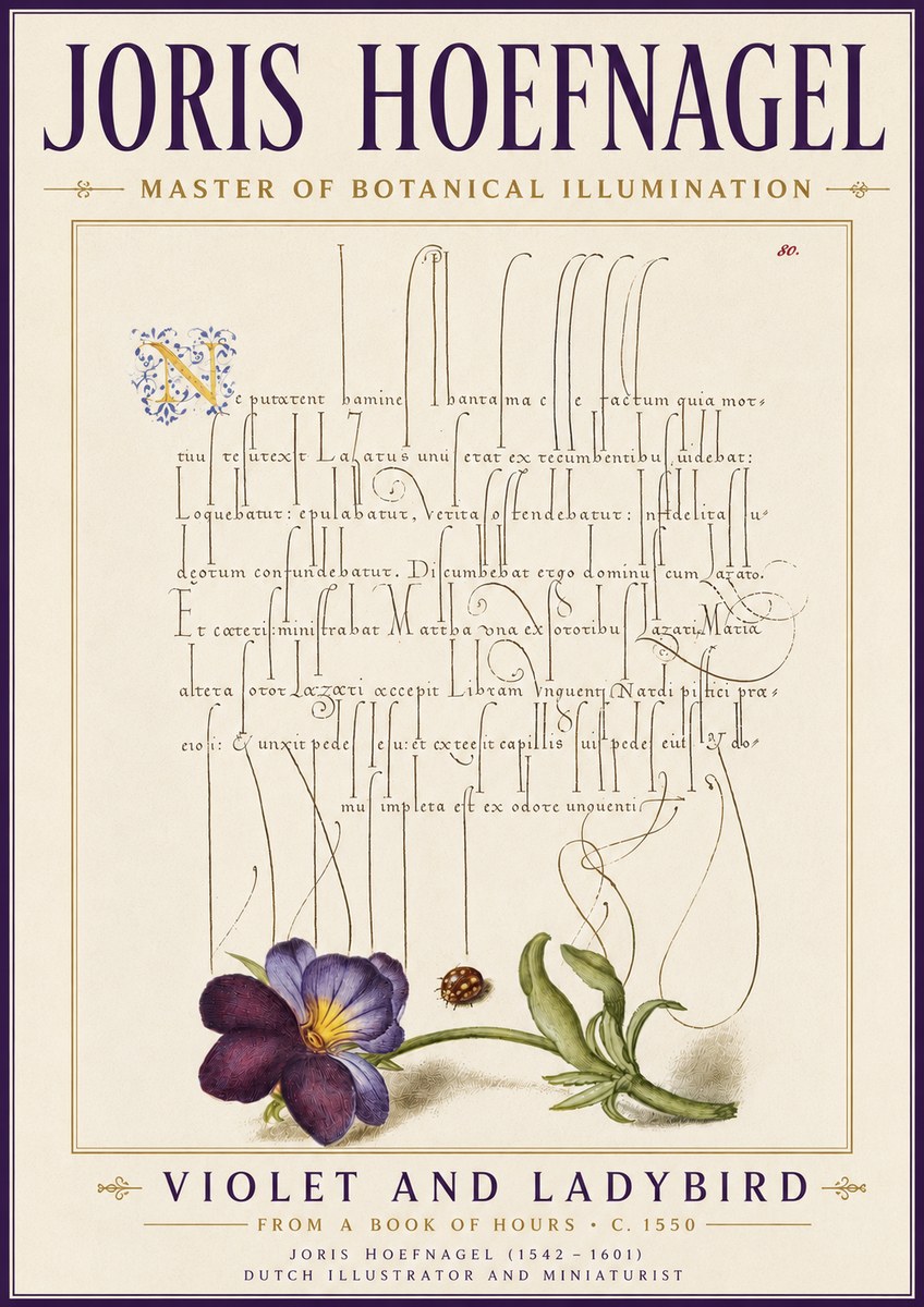 Joris Hoefnagel Violet and Ladybird No6 - Plakat