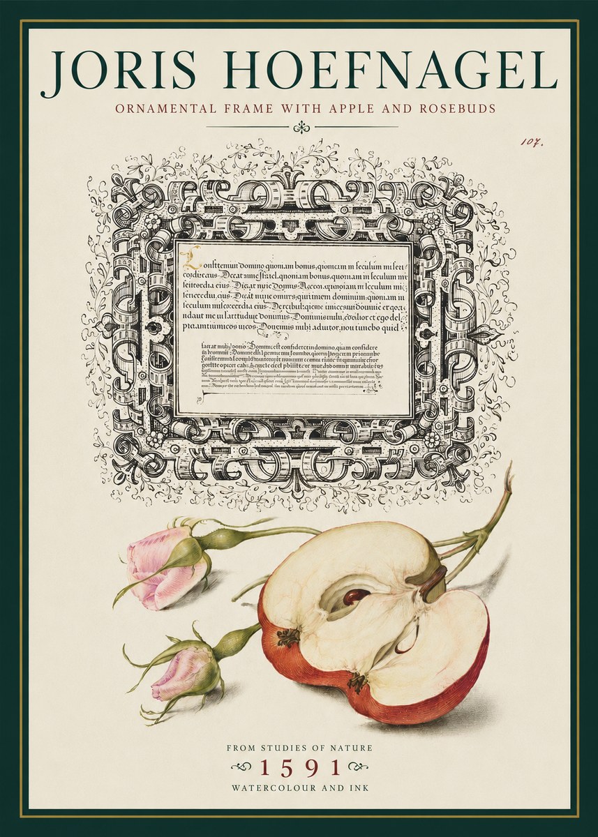 Joris Hoefnagel Illuminated Calligraphy and Botanical Study No5 - Plakat