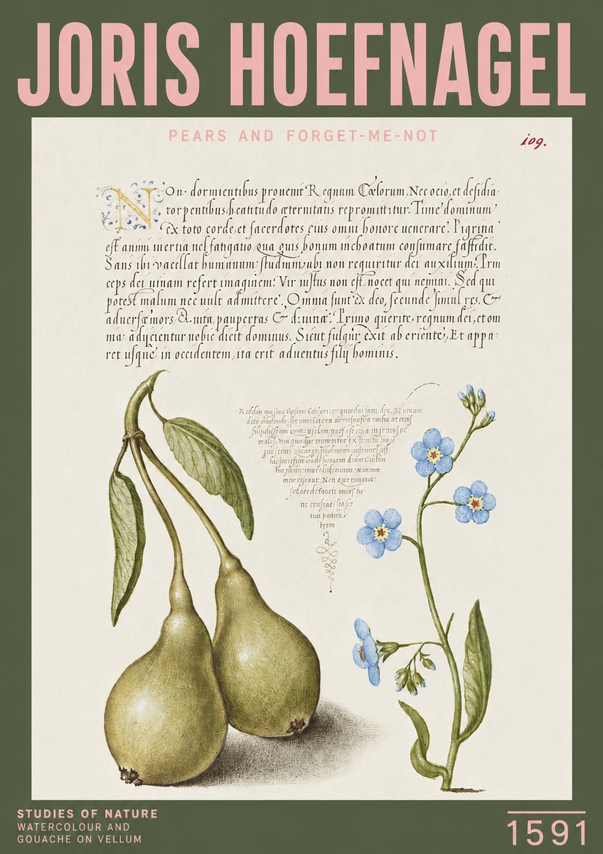 Joris Hoefnagel Pears and Forget-me-not No3 - Plakat