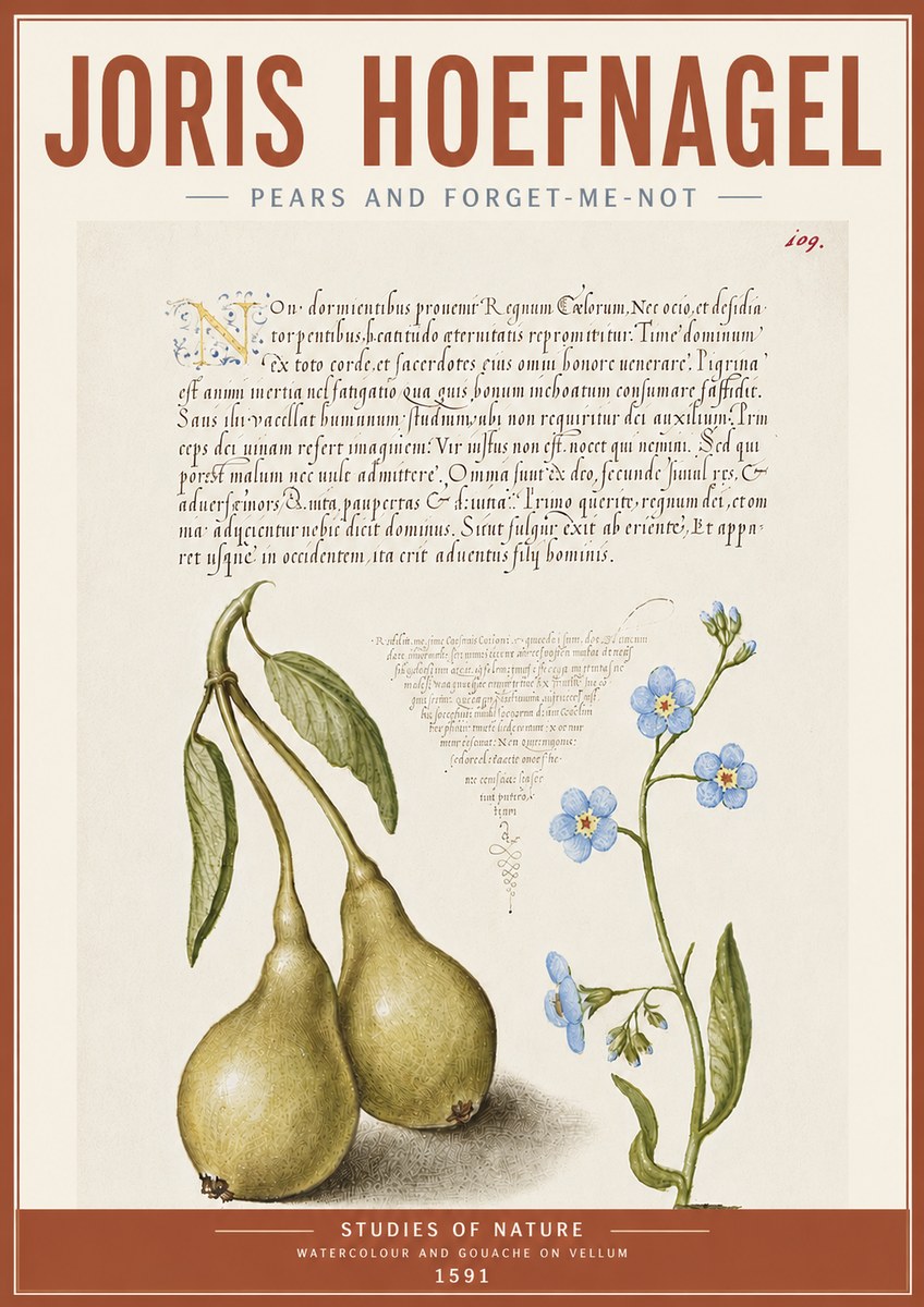 Joris Hoefnagel Pears and Forget-me-not No5 - Plakat