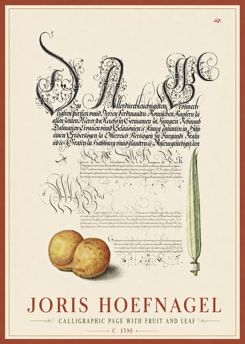 Joris Hoefnagel Calligraphic Page with Fruit and Leaf No6 - Plakat