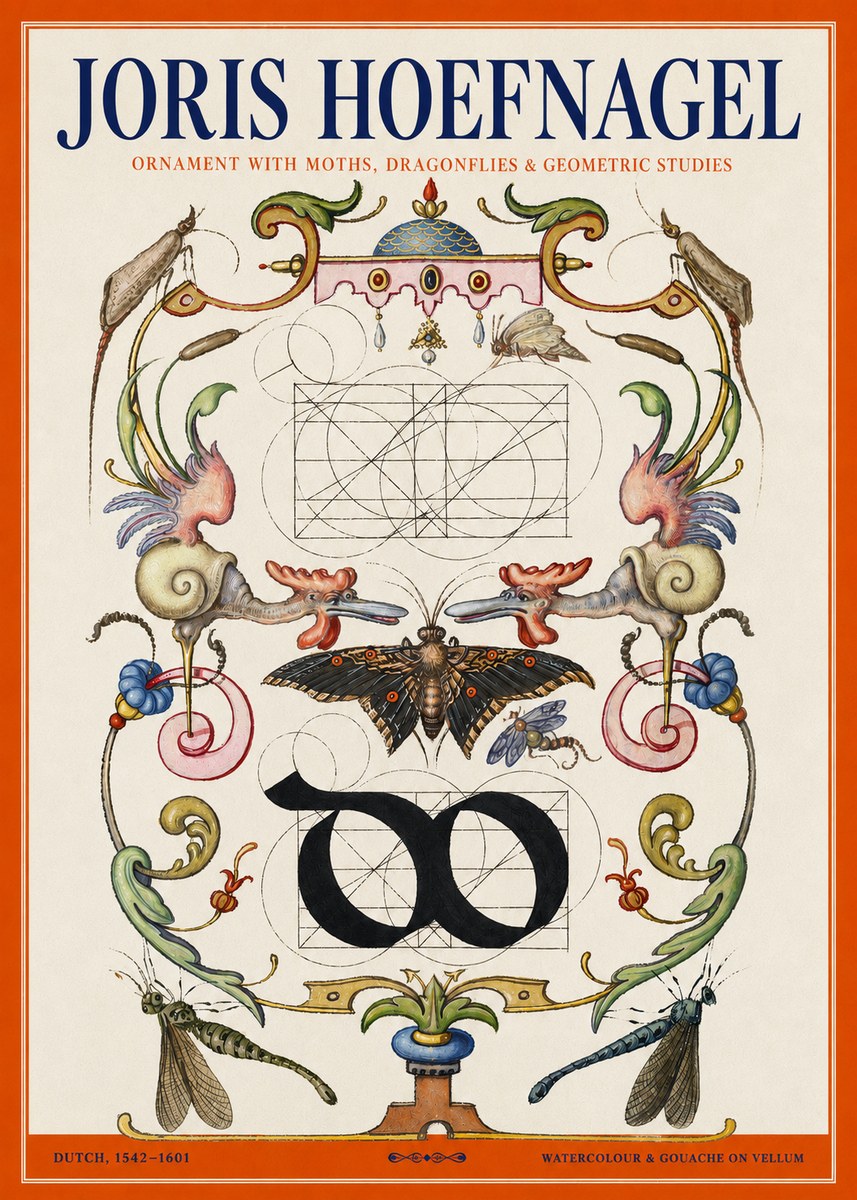 Joris Hoefnagel Ornament with Moths, Dragonflies & Geometric Studies No2 - Plakat