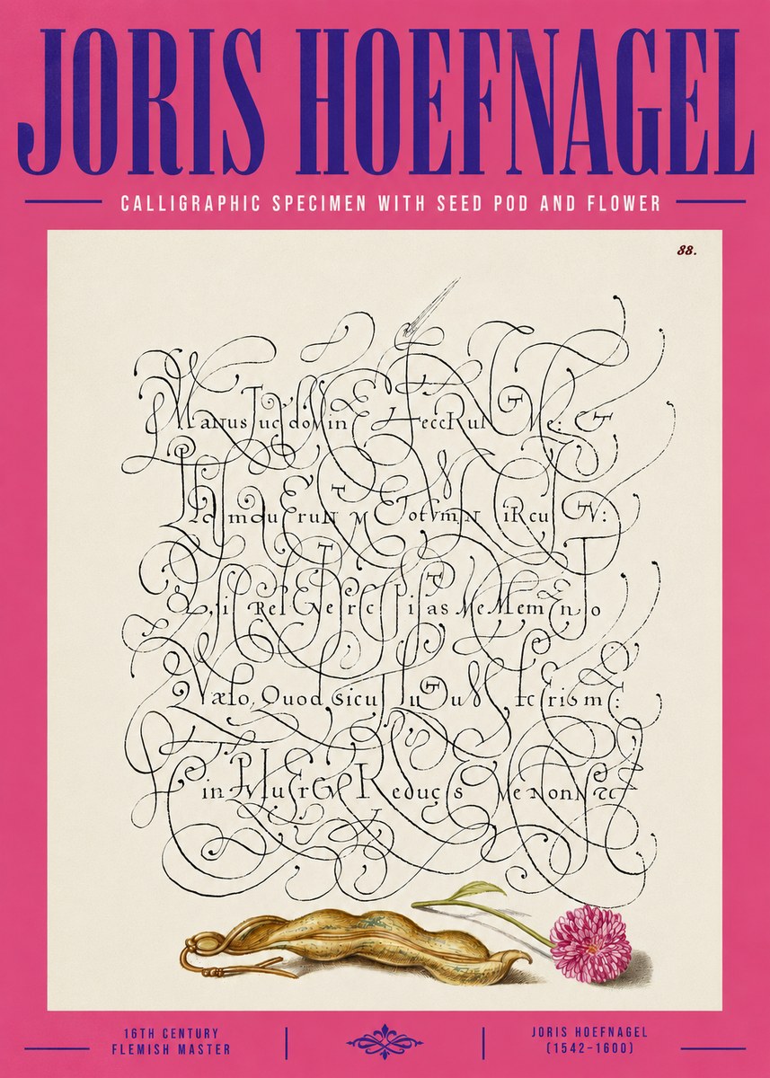 Joris Hoefnagel Calligraphic Specimen with Seed Pod and Flower No4 - Plakat