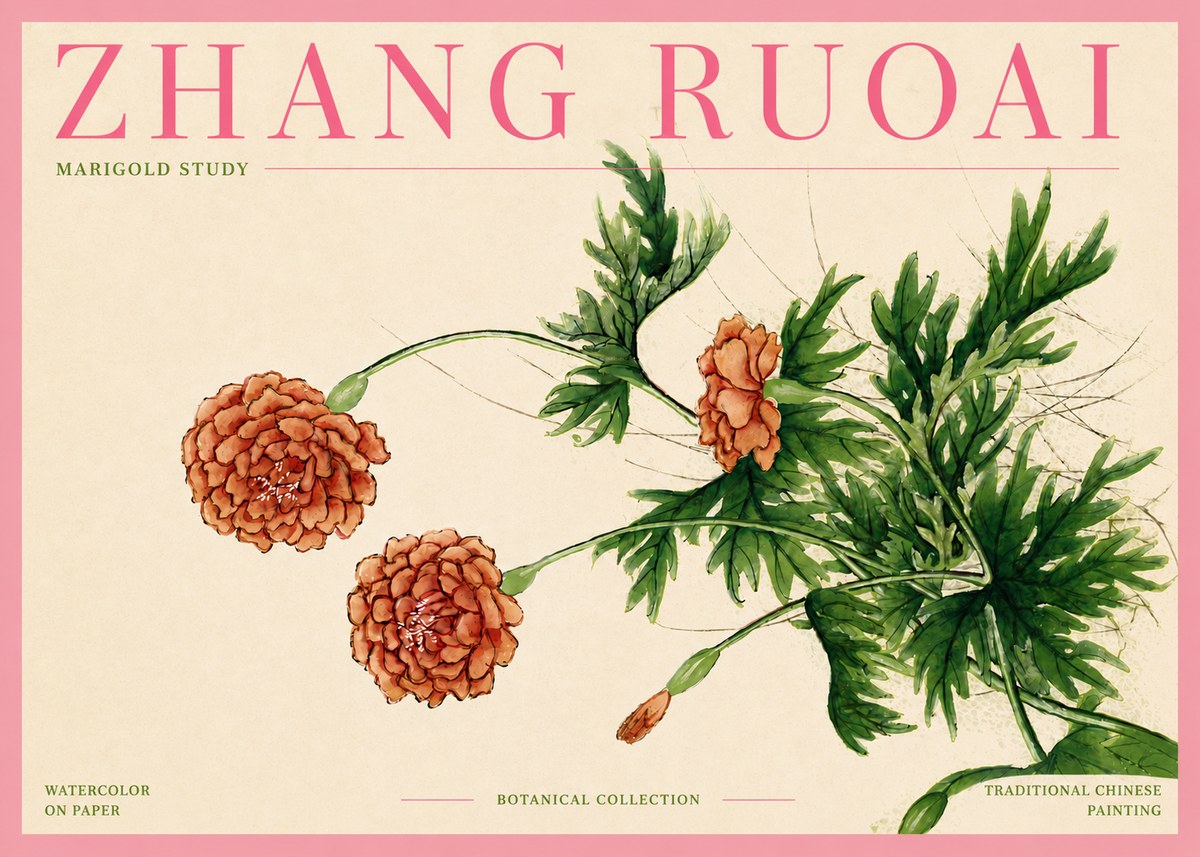 Zhang Ruoai Marigold Study No4 - Plakat