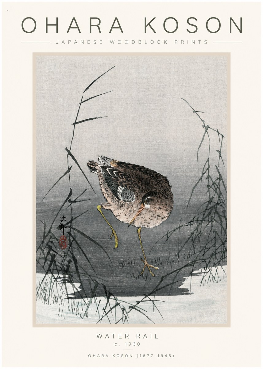 Ohara Koson Water Rail No1 - Plakat