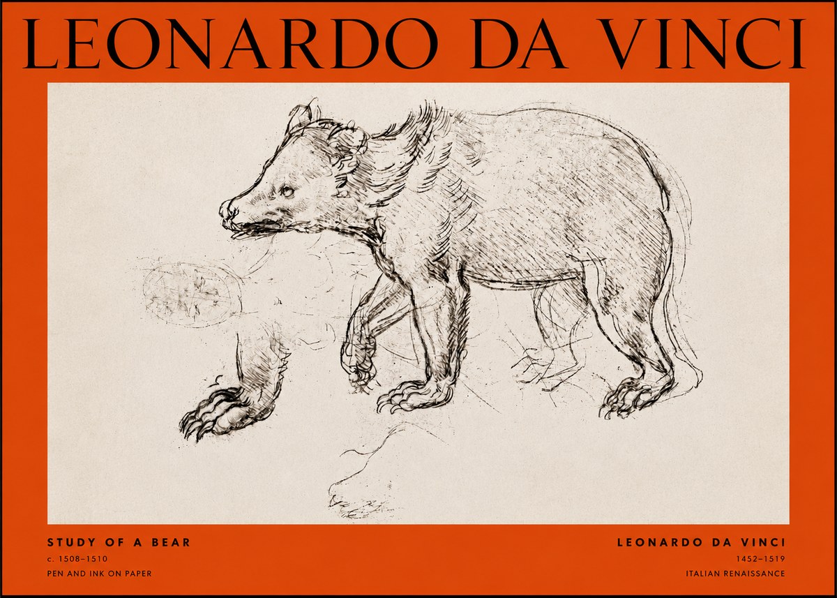 Leonardo da Vinci Study of a Bear No2 - Plakat