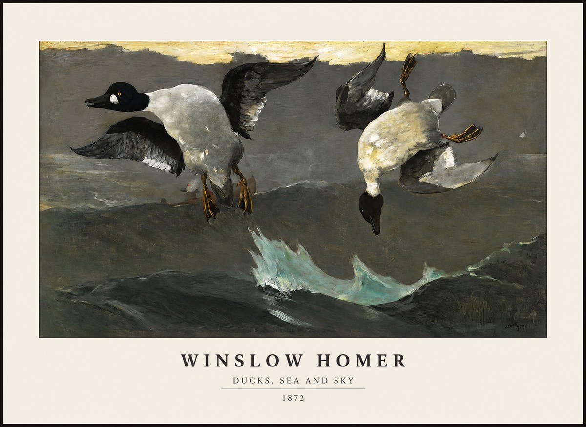 Winslow Homer Ducks, Sea and Sky No1 - Plakat